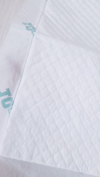 아베크 펫 와이드 프리미엄 중형 애견 강아지 배변 패드 54매 1팩 45g — 5점을 준 리뷰어가 2021년 7월 올린 사용 사진