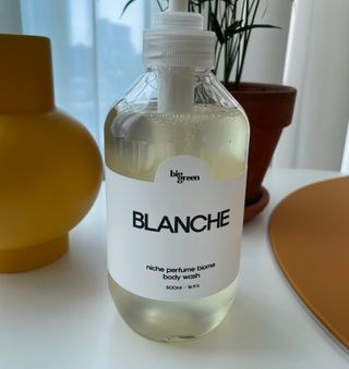 빅그린 니치 퍼퓸 바이옴바디워시 500ml(상탈, 블랙베리&베이, 블랑쉐 3종 중 택1) — 4점을 준 리뷰어가 2022년 7월 올린 사용 사진