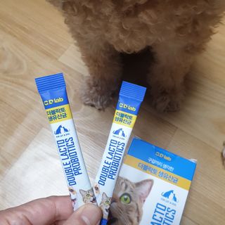씨디랩 장 건강과 구강 건강을 한 번에 더블락토 강아지 고양이 유산균 — 5점을 준 리뷰어가 2021년 1월 올린 사용 사진