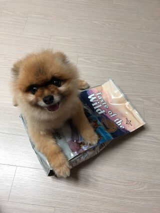 쭈야님이 올린 리뷰 사진 2