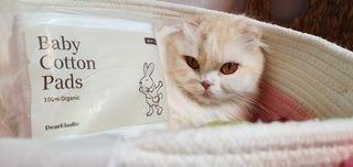 디어엘로디 프리미엄 유기농 베이비 솜티슈 40매 3 + 1 PACK — 5점을 준 리뷰어가 2021년 2월 올린 사용 사진