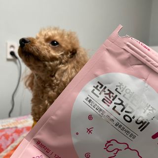 My Pet Care 천연단백질 관절건강에 개좋아 — 4점을 준 리뷰어가 2021년 1월 올린 사용 사진