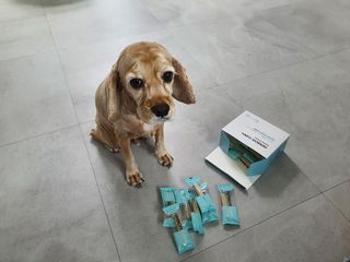 찬이애비님이 올린 리뷰 사진 4