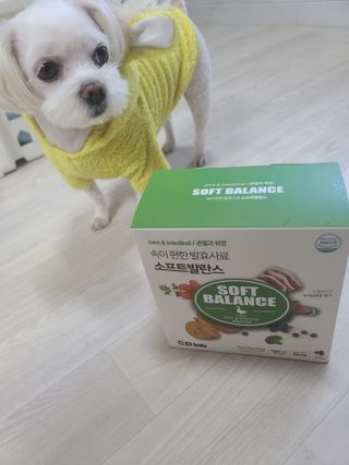 씨디랩 속이 편한 강아지 사료 소프트발란스 기호성 좋은 발효사료 피부와 위장 관절과 위장 — 5점을 준 리뷰어가 2021년 3월 올린 사용 사진