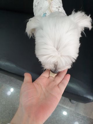 psj6667님이 올린 리뷰 사진 2
