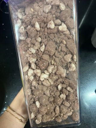 O_zl님이 올린 리뷰 사진 1