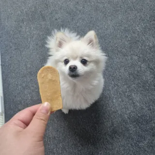 빵슬님이 올린 리뷰 사진 4