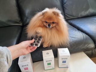 아롱이님이 올린 리뷰 사진 1