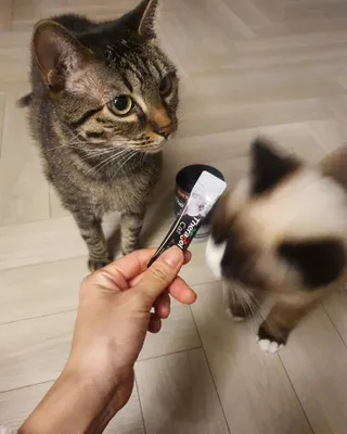 흥나니🐯🎵님이 올린 리뷰 사진 2
