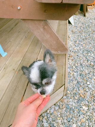 Jeonjj님이 올린 리뷰 사진 2