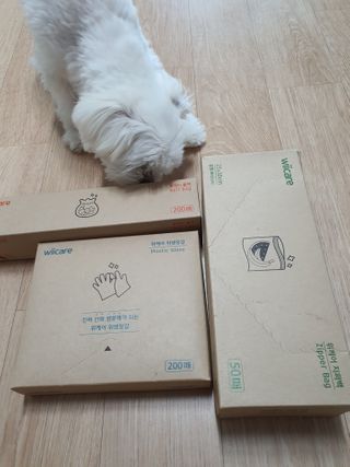 뽀오오옹님이 올린 리뷰 사진 1