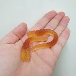쎄미님이 올린 리뷰 사진 2