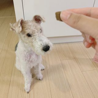 솜솜이2님이 올린 리뷰 사진 1