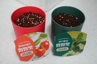 je님이 올린 리뷰 사진 1