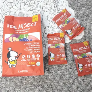 [푸디웜] 라포그  리얼인섹트 관절 저알러지 강아지 사료  1.2KG — 5점을 준 리뷰어가 2022년 8월 올린 사용 사진