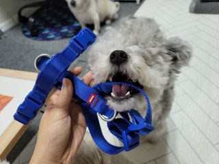 김이설님이 올린 리뷰 사진 3