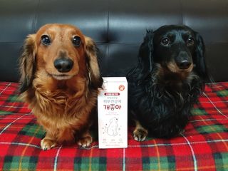 My Pet Care 모발과 모질 피부건강에 개좋아 — 5점을 준 리뷰어가 2021년 2월 올린 사용 사진