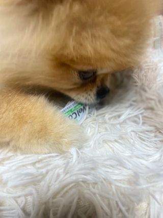 삐약삐삐약님이 올린 리뷰 사진 3