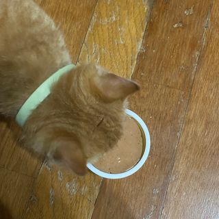 보니보니님이 올린 리뷰 사진 3