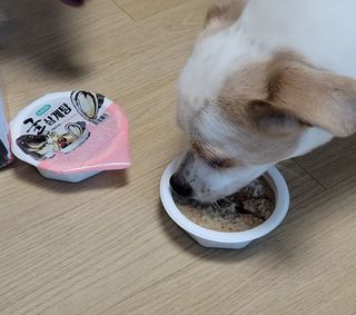 hing20님이 올린 리뷰 사진 3