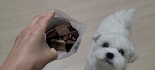 쏘이님이 올린 리뷰 사진 2