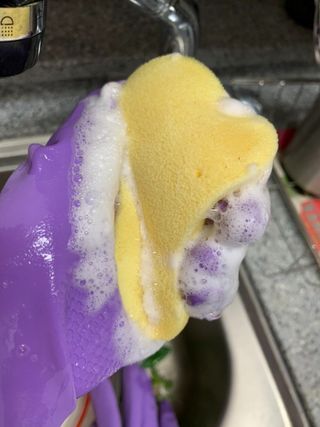 소피아진님이 올린 리뷰 사진 2