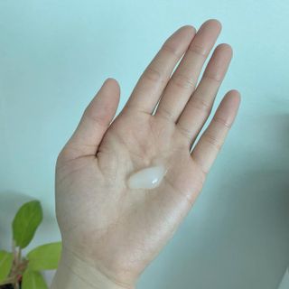 쏨님이 올린 리뷰 사진 3