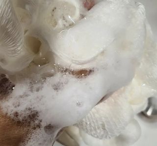 narihalmany님이 올린 리뷰 사진 4