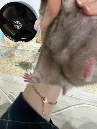 이연님이 올린 리뷰 사진 3