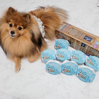 은선이짱님이 올린 리뷰 사진 2