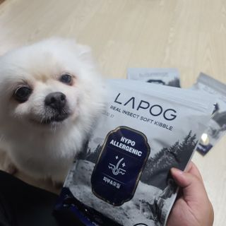 [푸디웜] 라포그 리얼인섹트 소프트키블 스킨 1KG — 5점을 준 리뷰어가 2022년 9월 올린 사용 사진
