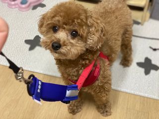 민트만트님이 올린 리뷰 사진 3
