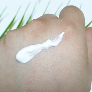 jnj님이 올린 리뷰 사진 3