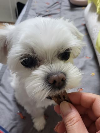 뽀오오옹님이 올린 리뷰 사진 1