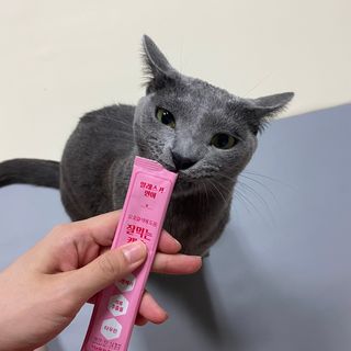 페페로니 잘 먹는 캣츄 - 알래스카 연어 24개입 — 5점을 준 리뷰어가 2021년 9월 올린 사용 사진