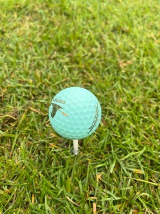 더위치골프(thewitchgolf) 프리미엄 골프 공 더위치골프 매트 펄 컬러의 3피스볼 더위치골프 골프볼 선물세트 — 4.5점을 준 리뷰어가 2023년 9월 올린 사용 사진