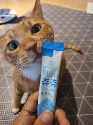 짱가엄마님이 올린 리뷰 사진 2