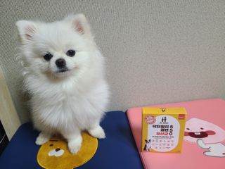 봉방스봉붕님이 올린 리뷰 사진 2