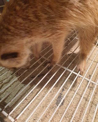 작은곰님이 올린 리뷰 사진 4