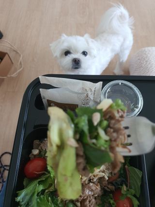 참살이도시락 작심삼일 샐러드도시락 3개 맛보기 새벽배송 또는 택배배송 — 5점을 준 리뷰어가 2021년 7월 올린 사용 사진
