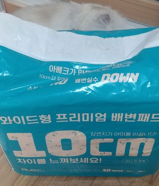 켈리심님이 올린 리뷰 사진 4