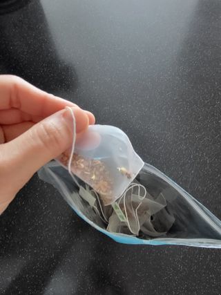 토르맘님이 올린 리뷰 사진 2