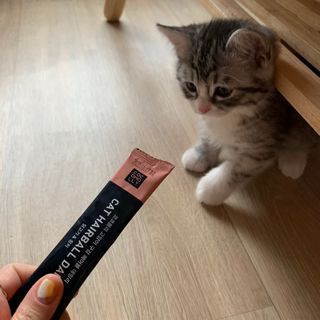 코코몰리 고양이 구강• 헤어볼 데일리 /신장• 요로 데일리 — 5점을 준 리뷰어가 2021년 1월 올린 사용 사진