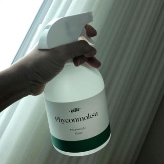 올라잍 편목수 피톤치드 스프레이 — 5점을 준 리뷰어가 2023년 2월 올린 사용 사진