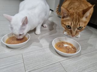 기몌딘님이 올린 리뷰 사진 4