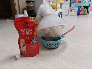 사라님이 올린 리뷰 사진 4
