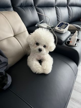 큐티윤님이 올린 리뷰 사진 4