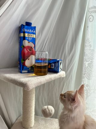 으나님이 올린 리뷰 사진 2