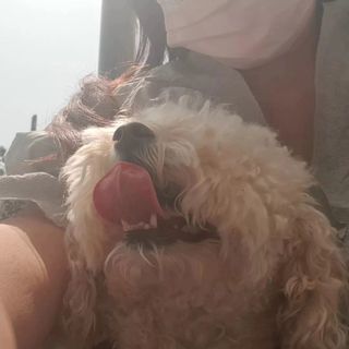 최은주님이 올린 리뷰 사진 4
