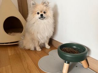 suu님이 올린 리뷰 사진 2